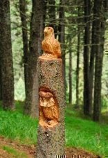 thumbs rinder 15 Impressioni dalla foresta incantata